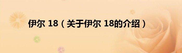 伊尔 18（关于伊尔 18的介绍）