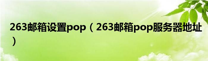 263邮箱设置pop（263邮箱pop服务器地址）