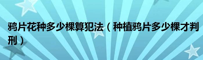 鸦片花种多少棵算犯法（种植鸦片多少棵才判刑）