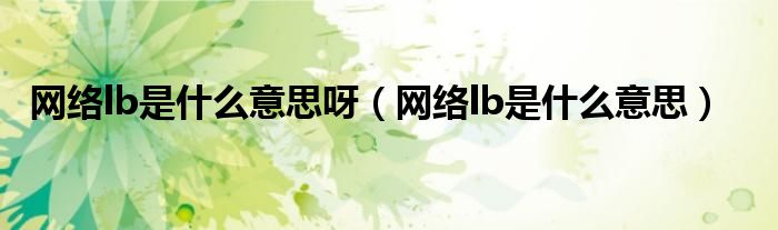 网络lb是什么意思呀（网络lb是什么意思）