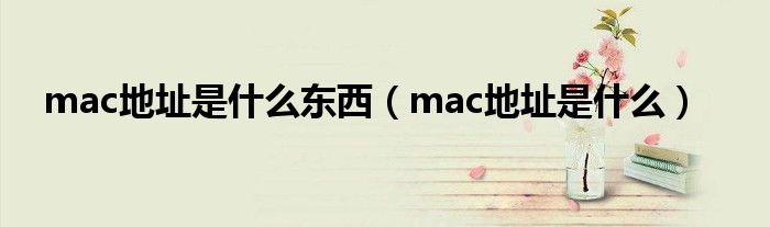 mac地址是什么东西（mac地址是什么）