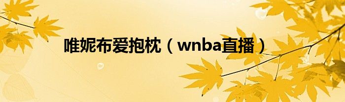 唯妮布爱抱枕（wnba直播）