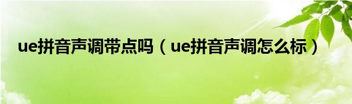 ue拼音声调带点吗（ue拼音声调怎么标）