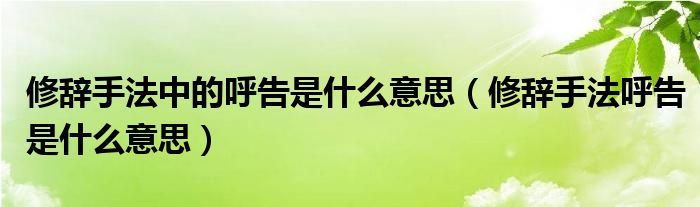 修辞手法中的呼告是什么意思（修辞手法呼告是什么意思）