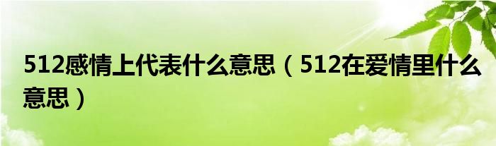 512感情上代表什么意思（512在爱情里什么意思）