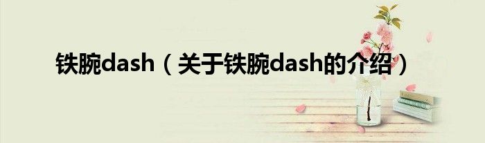 铁腕dash（关于铁腕dash的介绍）