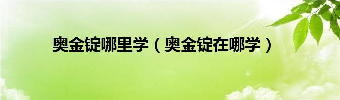 奥金锭哪里学（奥金锭在哪学）