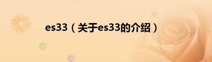 es33（关于es33的介绍）