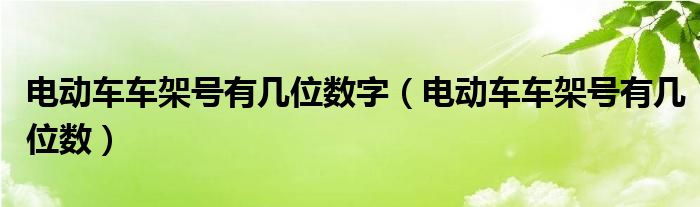 电动车车架号有几位数字（电动车车架号有几位数）