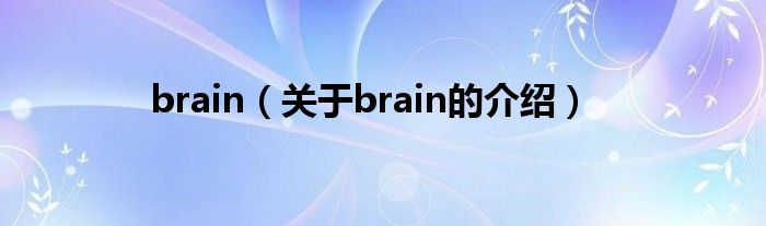 brain（关于brain的介绍）