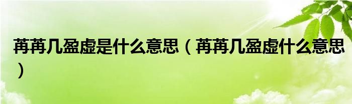 苒苒几盈虚是什么意思（苒苒几盈虚什么意思）