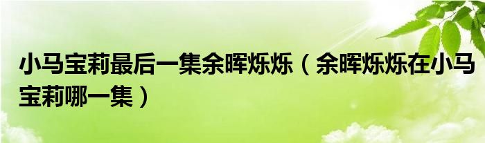 小马宝莉最后一集余晖烁烁（余晖烁烁在小马宝莉哪一集）