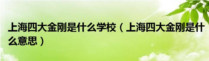 上海四大金刚是什么学校（上海四大金刚是什么意思）