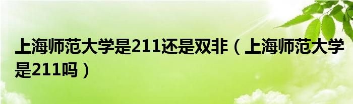 上海师范大学是211还是双非（上海师范大学是211吗）