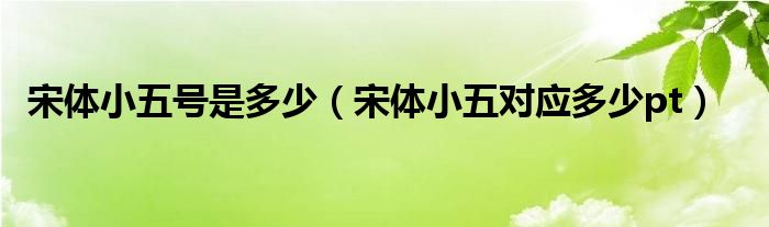 宋体小五号是多少（宋体小五对应多少pt）