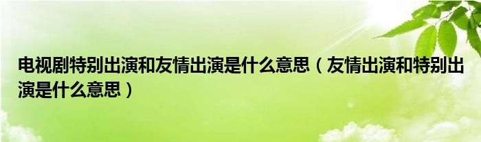 电视剧特别出演和友情出演是什么意思（友情出演和特别出演是什么意思）