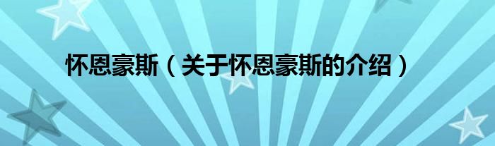 怀恩豪斯（关于怀恩豪斯的介绍）