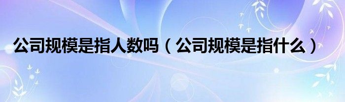 公司规模是指人数吗（公司规模是指什么）