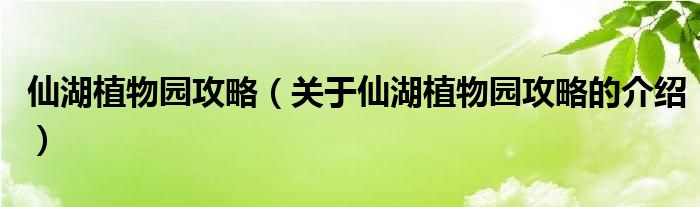 仙湖植物园攻略（关于仙湖植物园攻略的介绍）