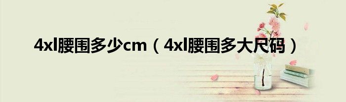 4xl腰围多少cm（4xl腰围多大尺码）