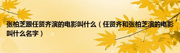 张柏芝跟任贤齐演的电影叫什么（任贤齐和张柏芝演的电影叫什么名字）