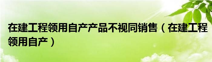 在建工程领用自产产品不视同销售（在建工程领用自产）