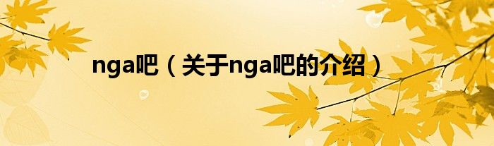 nga吧（关于nga吧的介绍）