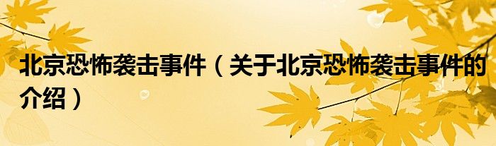 北京恐怖袭击事件（关于北京恐怖袭击事件的介绍）