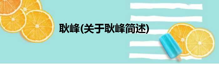 耿峰(关于耿峰简述)