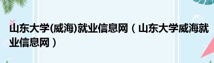 山东大学(威海)就业信息网（山东大学威海就业信息网）