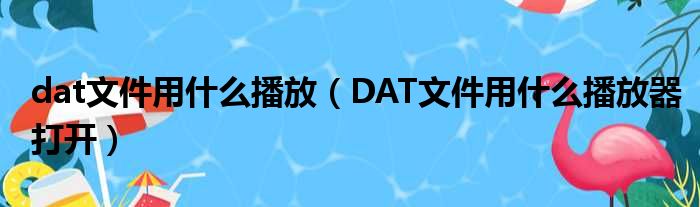 dat文件用什么播放（DAT文件用什么播放器打开）