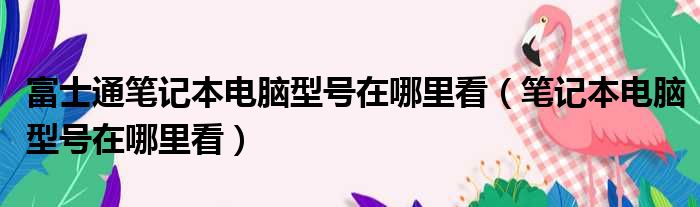 富士通笔记本电脑型号在哪里看（笔记本电脑型号在哪里看）