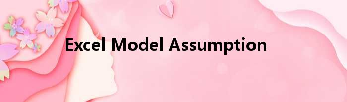 Excel Model Assumption