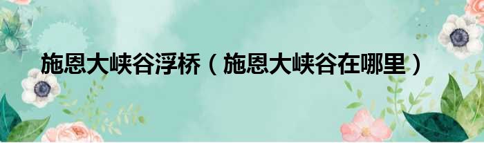 施恩大峡谷浮桥（施恩大峡谷在哪里）