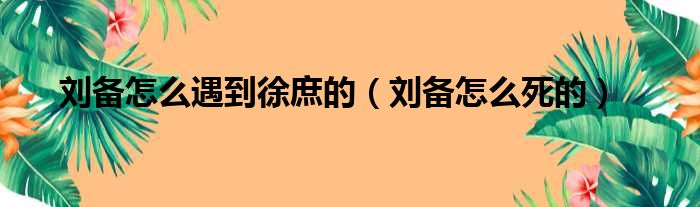 刘备怎么遇到徐庶的（刘备怎么死的）