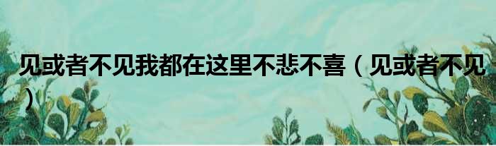 见或者不见我都在这里不悲不喜（见或者不见）