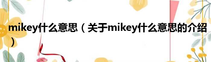 mikey什么意思（关于mikey什么意思的介绍）