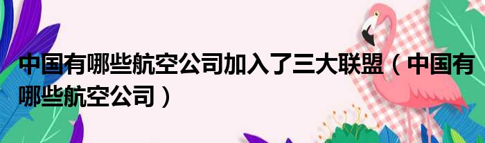 中国有哪些航空公司加入了三大联盟（中国有哪些航空公司）
