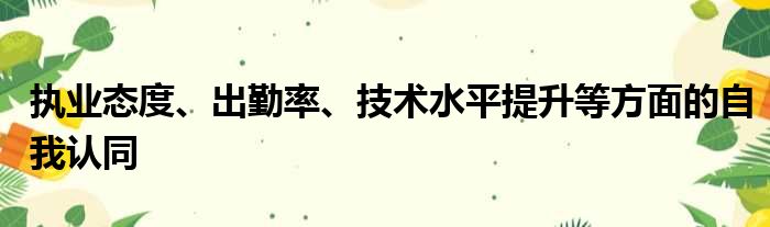 执业态度、出勤率、技术水平提升等方面的自我认同