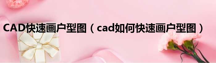 CAD快速画户型图（cad如何快速画户型图）