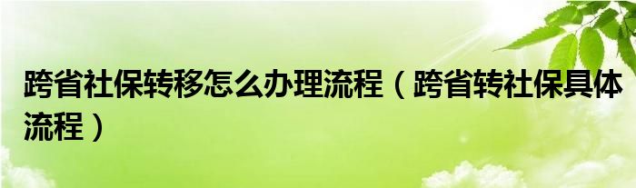 跨省社保转移怎么办理流程（跨省转社保具体流程）