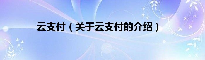 云支付（关于云支付的介绍）