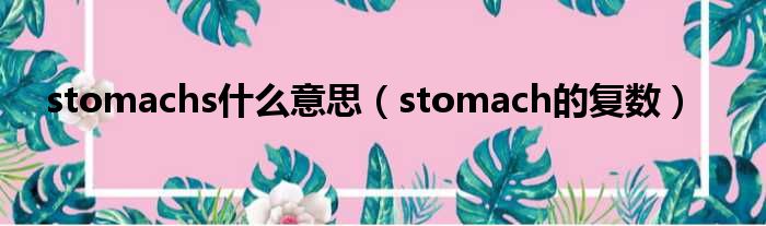 stomachs什么意思（stomach的复数）