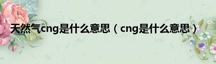 天然气cng是什么意思（cng是什么意思）