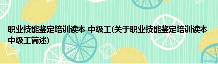 职业技能鉴定培训读本 中级工(关于职业技能鉴定培训读本 中级工简述)