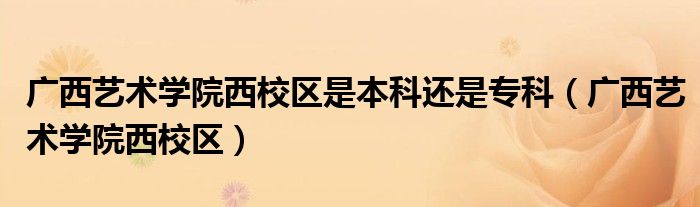 广西艺术学院西校区是本科还是专科（广西艺术学院西校区）