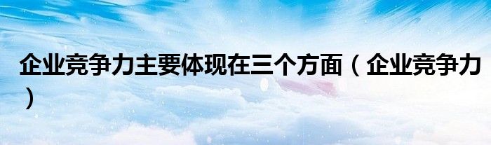 企业竞争力主要体现在三个方面（企业竞争力）