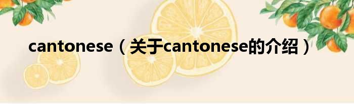 cantonese（关于cantonese的介绍）