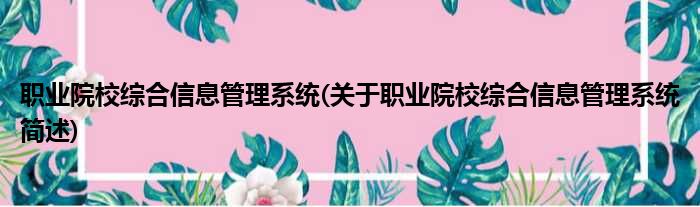 职业院校综合信息管理系统(关于职业院校综合信息管理系统简述)