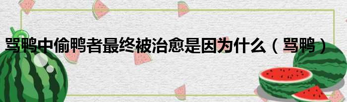 骂鸭中偷鸭者最终被治愈是因为什么（骂鸭）